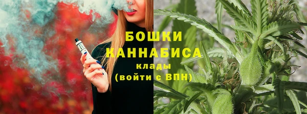 стафф Медногорск