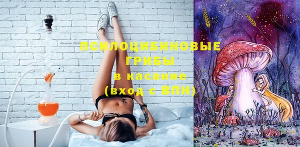 стафф Медногорск