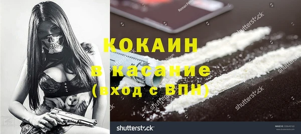 стафф Медногорск