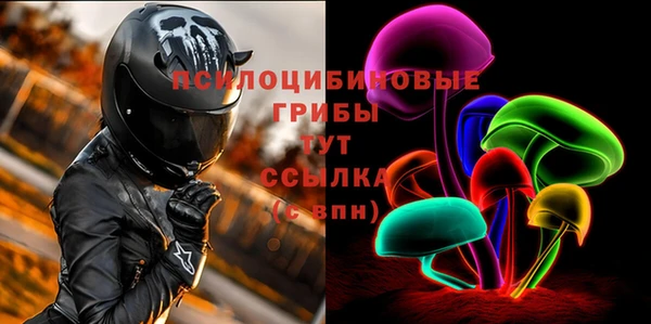 СК Мегион